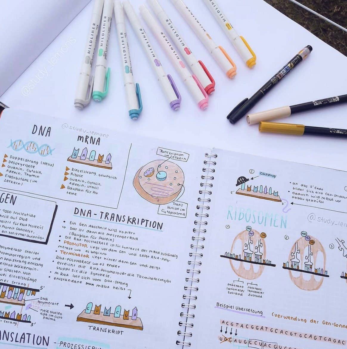 Zebra Pen Mildliner Double Ended Highlighter and Bullet Tip